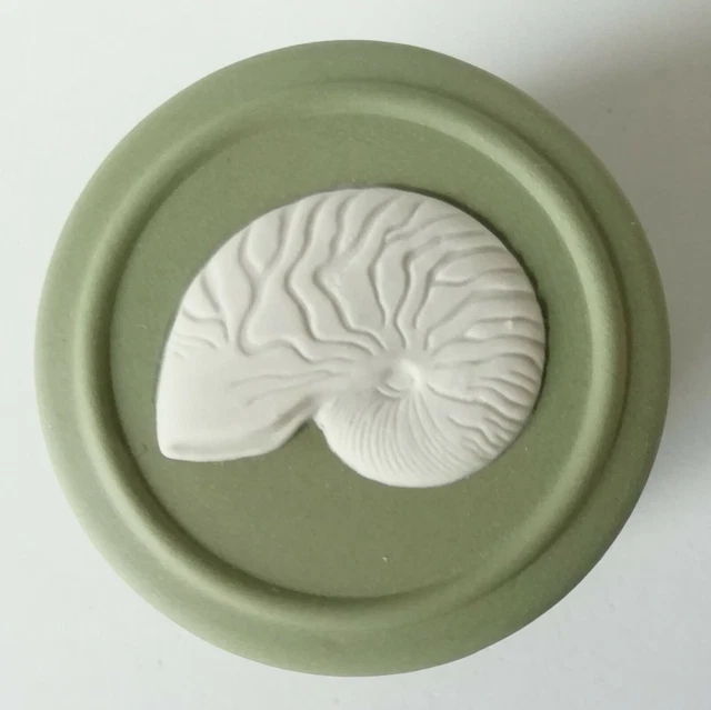 Wedgwood - Vert Pilule Boîte Nautilus Coque