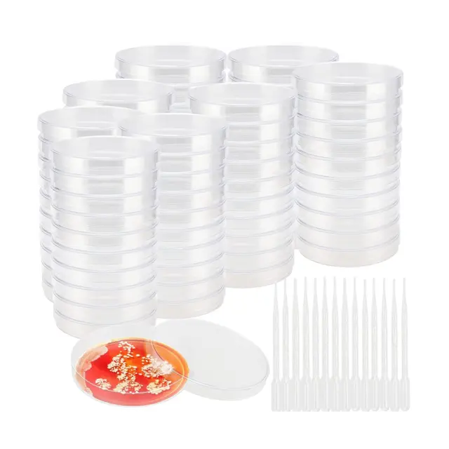 80 Pack Clear Sterile Petri Dish Dishes with 200 Plastic Transfer6861