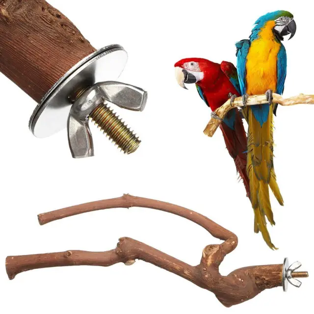 Papagei Holzzweig Holz Papagei Vogel Stand Vogel hängendes Spielzeug