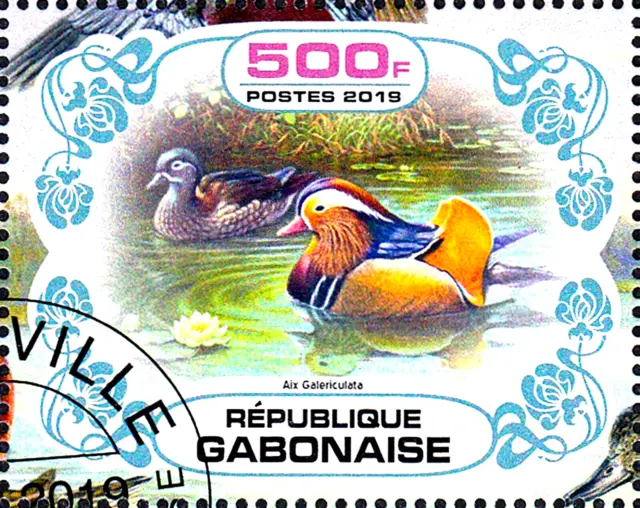 Tier Wildtier Vogel Ente Mandarinente Seevogel Wasservogel Seerose Fauna / 270