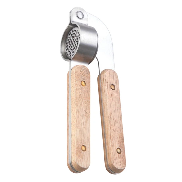 1PC Ail Mincer Outil Ail Squeezer Métal Ail Pres Moulin À