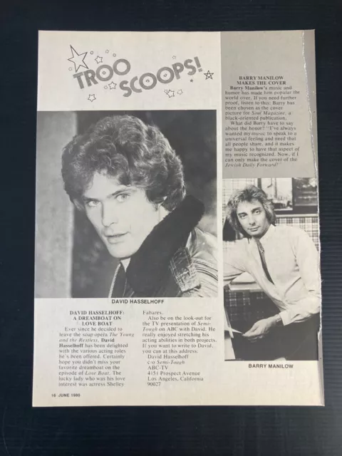 DAVID HASSELHOFF Bericht Clipping aus Magazin "Tigerbeat" USA von 1980 !