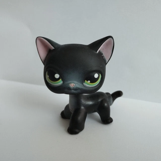 Littlest PetShop LPS # 336 Chat Européen Shorthair Européen Cat