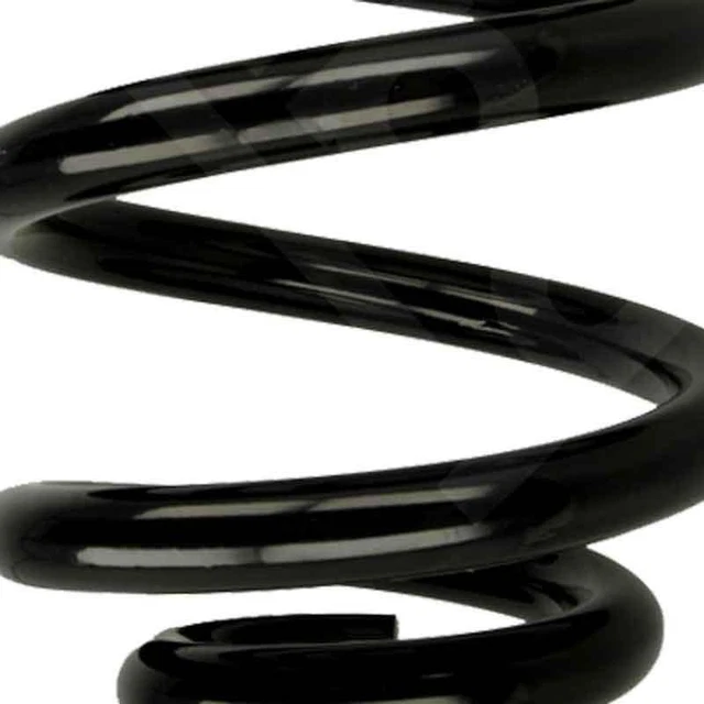 Frankberg Federn Fahrwerksfeder Hinten - Für VW Transporter III Bus/Kasten/Pritsche