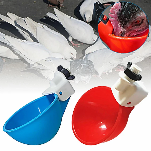 Automatic Water Cups Poultry Drinker Waterer Chicken Duck Quail Drinking SP