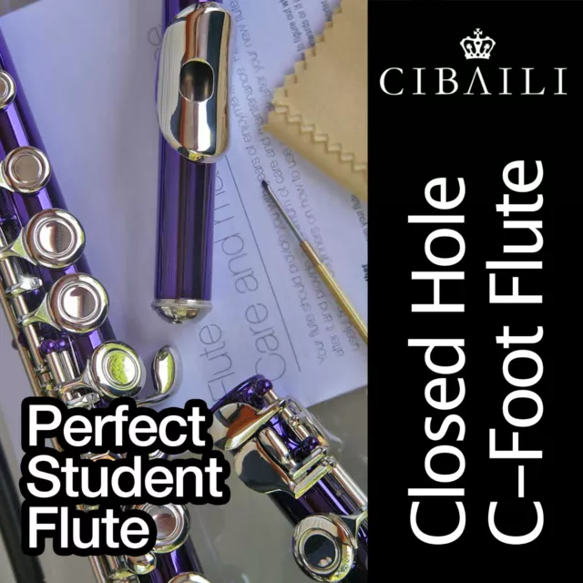 PURPLE and SILVER C foot Flute • BRAND NEW • Case • Perfect For School • Special