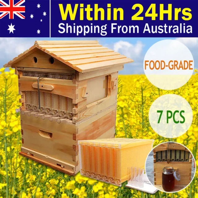 Wooden Beekeeping Beehive House +7 Latest Auto Honey Bee comb Hive Frame Auto AU