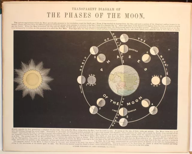 James Reynolds & John Emslie print – Phases of the Moon