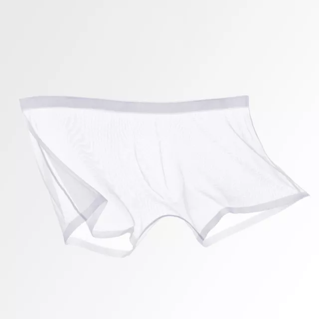 Mens Sexy Briefs See Through Sheer Boxer Mesh Underwear Shorts Trunks Underpants