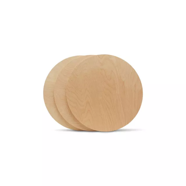 Wood Circles 8 inch 1/2 inch Thick, Unfinished Birch Craft Rounds | Woodpeckers 3