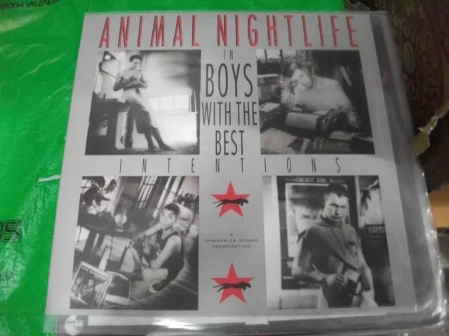 Animal Nightlife ‎– Boys With The Best Intentions ' 12 " MINT 1987