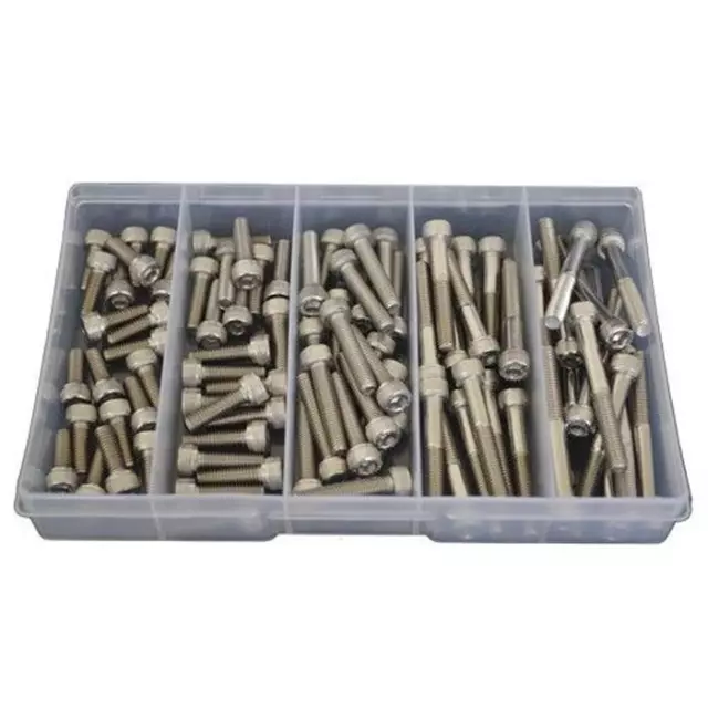 Socket Cap Screw Assortment Kit M6 Stainless G304 Allen Bolt #165