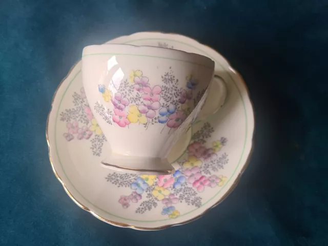 Vintage Crown Staffordshire Fine Bone Floral Cherry Blossom Cup and Saucer 3