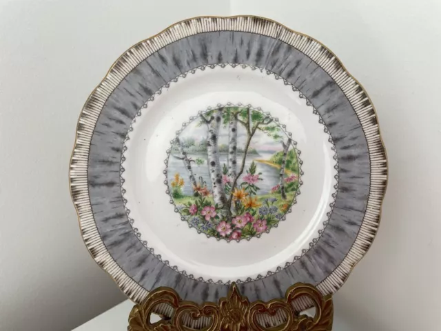 Royal Albert SILVER BIRCH - Small Tea Plate / Side Plate 6.25 inches / 161mm Dia