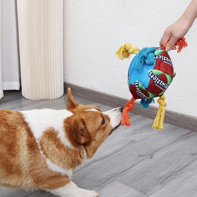 Sniff Ball for Dogs, Pet Sniffing Ball Toy Puppy Playing Durable Interactive Toy