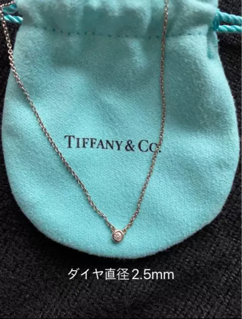 Tiffany & Co. Necklace by the yard Diamond PERETTI Ex++ 0304T 3