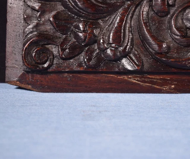 *French Antique Highly Carved Architectural Trim Panel in Solid Oak w/Cherubs 7
