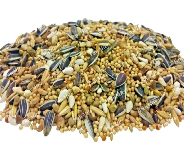 COCKATIEL & PARAKEET - (350g to 20kg) - Exotic Lovebirds Caged Bird Seed bp Food