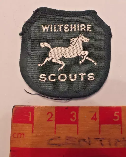 Vintage Boy Scouts Wiltshire District County Area Badge (D1)