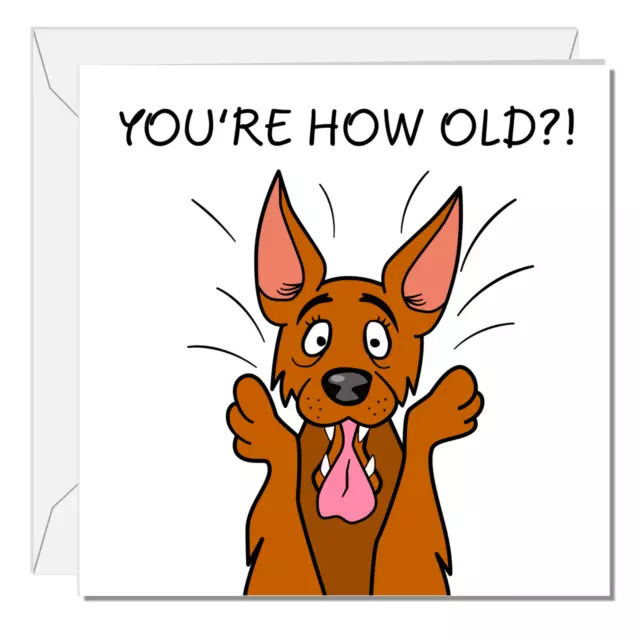 SWIZZOO Funny Dog 40th 50th 60th 70th Birthday Card Men Women Him Her Labrador