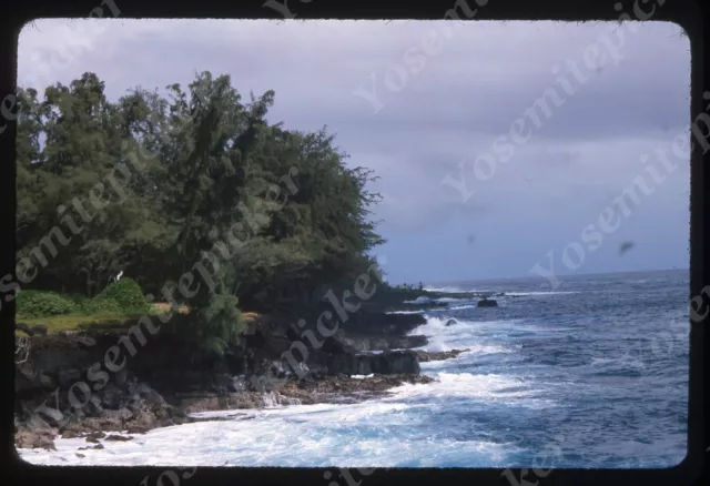 sl75 Original slide 1984  Hawaii   Paradise Park  Kaloli point ? 670a