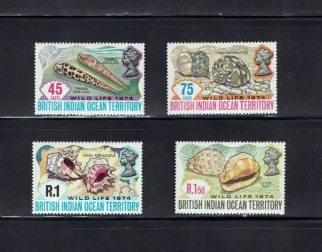 British Indian Ocean Territory: 1974, Wildlife, (2nd series) Shells,  MNH set