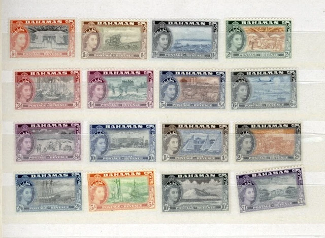 Bahamas Older Mint