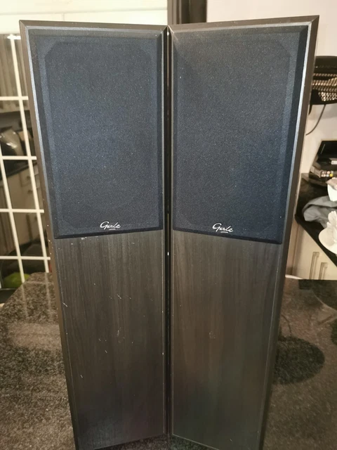 Gale 3030 Floorstanding Speakers (Pair) – Beech Finish, 2-Way Design, 100W RMS, 8 Ohm