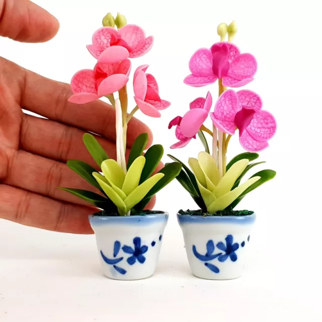 1:12 Scale Dollhouse Miniature Vanda Orchid Flower Clay in Ceramic Pot Handmade