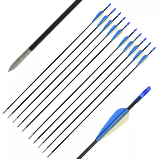 Archery Arrows 10x 28" Inch Fibreglass For Recurve Longbow Compound Hunting Bows