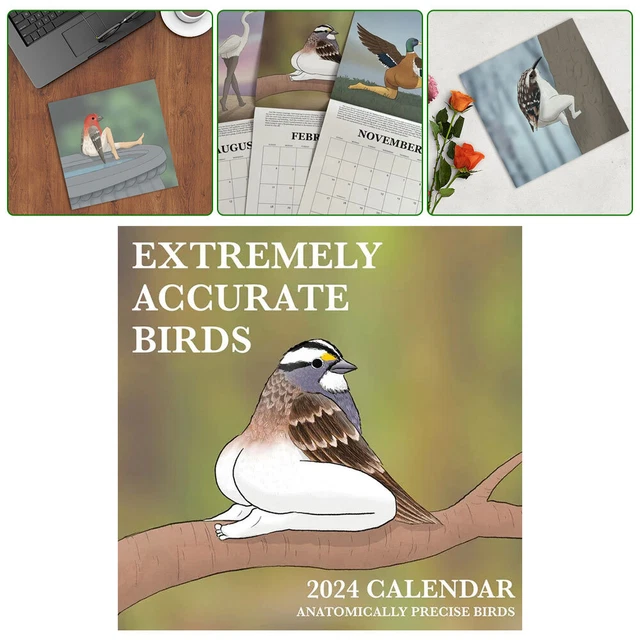2024 CALENDAR OF EXTREMELY ACCURATE BIRDS 2024 Bird Calendar Wall