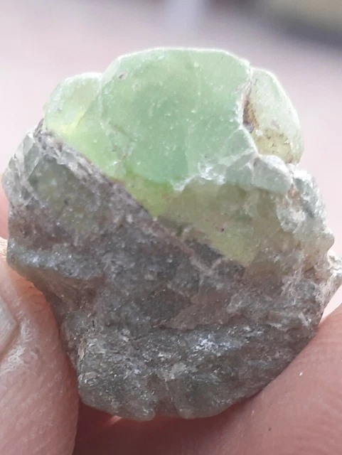 deep green peridot terminated gem quality specimen@ supat kohistan.