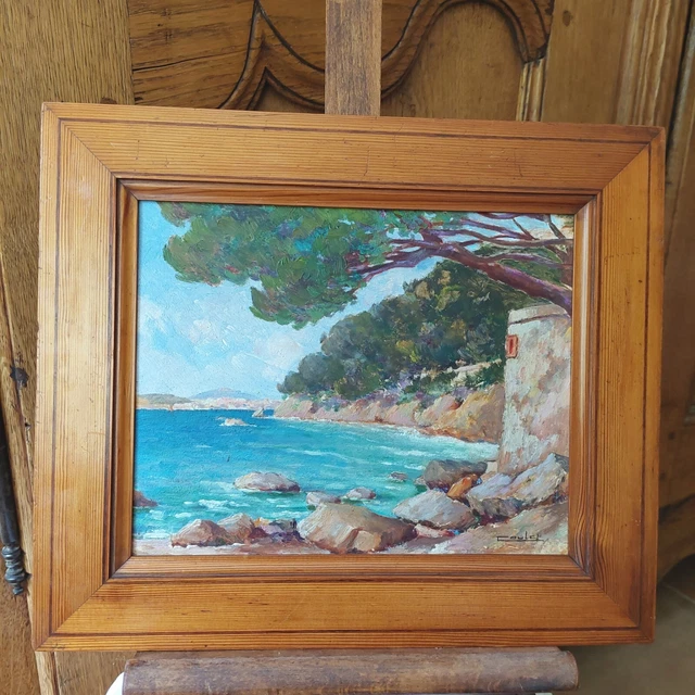 Markwort C-Flap Protège-Visage pour mâchoires et Joues (Piles