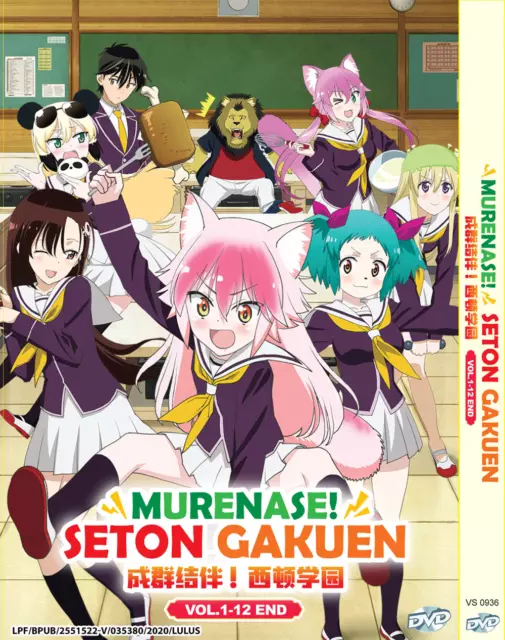 DVD ANIME NINGEN Fushin: Adventurers Don't Believe (1-12 End) English All  Region $45.02 - PicClick AU