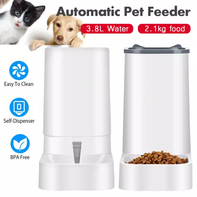 Automatic Pet Feeder White Cat Dog Food Dispenser & Water Fountain Drink Bowl