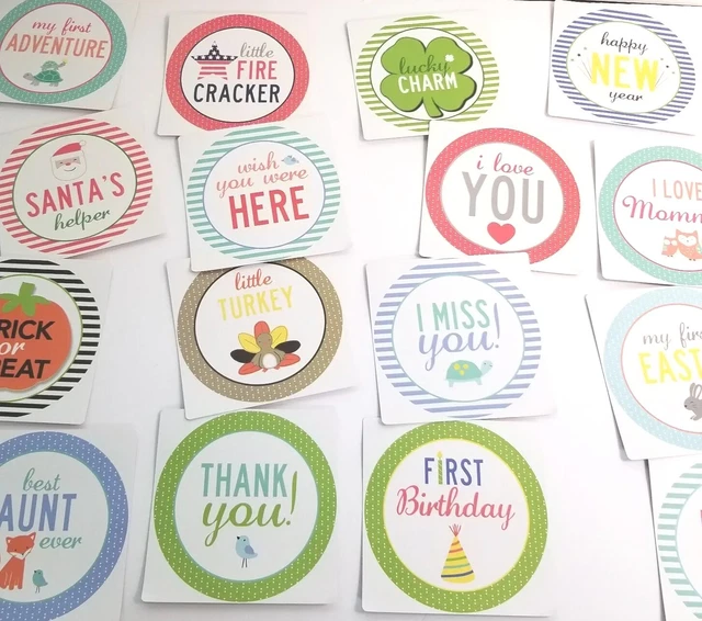 Baby's First Year Milestone Stickers Unisex Boy & Girls NWOT
