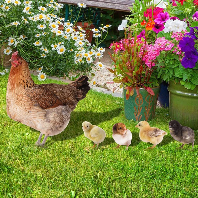 Acrylic Chicken Statue Stakes Ornaments Double-sided Printing for Backyard Patio