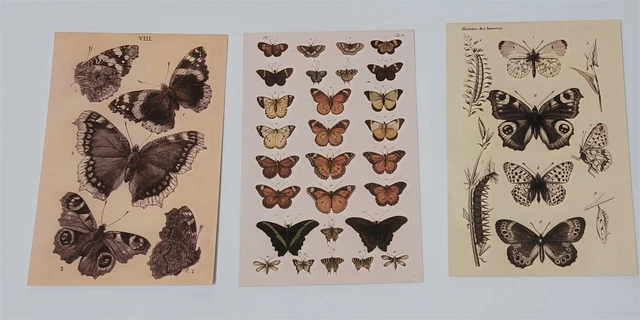 Victorian Trading 6 Asst Butterfly Planner Note Card Post Cards Frameable 28B