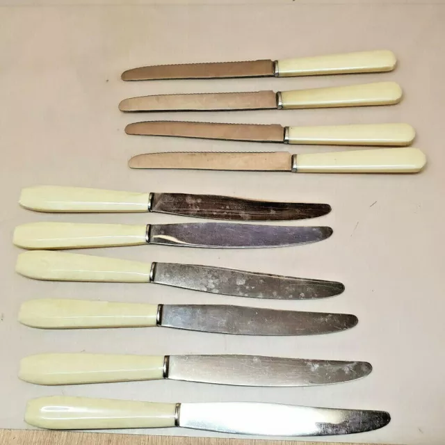 Navaris Lot 6x Couteau à Tomates - Couteaux de Table à Dents avec Manche en  Plastique et Lame en Inox pour Fruits Légumes : : Cuisine et Maison
