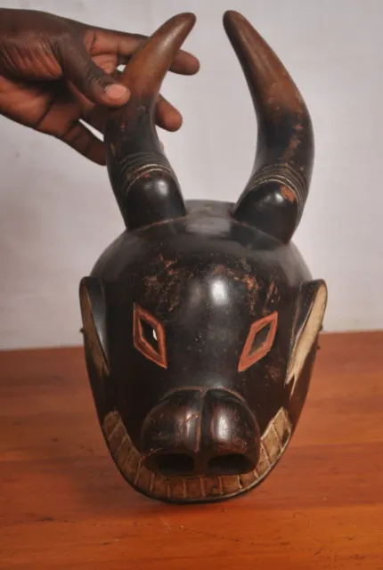 African Tribal Art,amazing Luba  animal  mask from Katanga region  DRC . 2