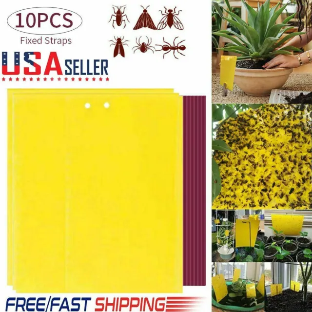 10-20pcs Sticky Fly Trap Paper Yellow Traps Fruit Flies Insect Glue Catcher Best
