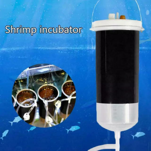 Fish Food Baby Fish Feed Shrimp Egg Hatch Tool Brine 250ml Incubator Shrimp P8N4