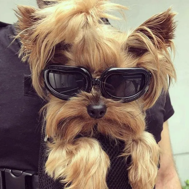 PETLESO Dog Goggles Dog Sunglasses Eye Protection Windproof Anti-UV...