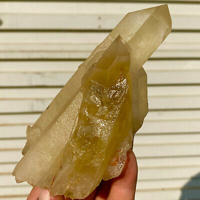 1.16LB Natural smokey citrine crystal quartz crystal cluster mineral specimen