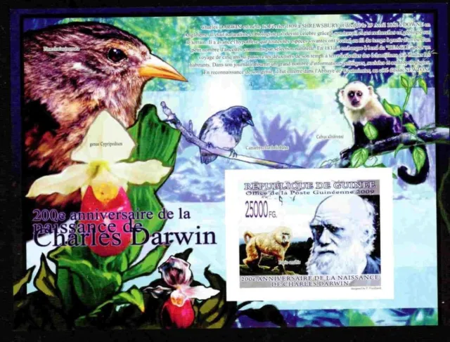 Guinea 2009 Darwin #4 Bird Monkey Orchid Evolution Nature Imperf S12123-2