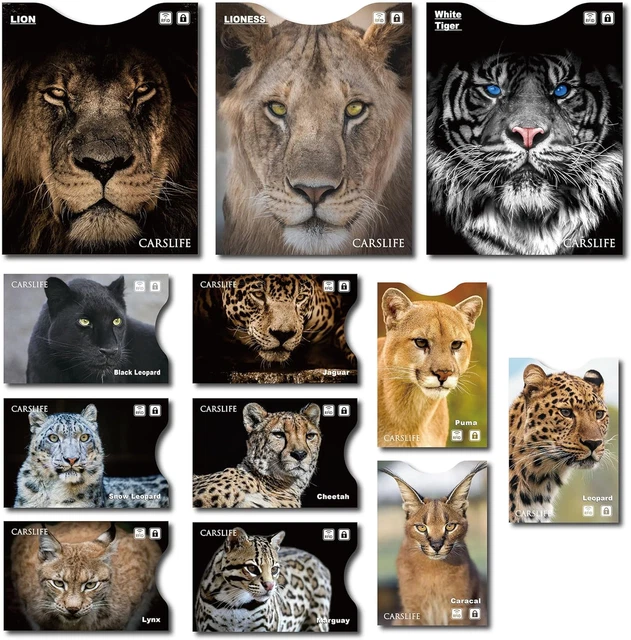 12 RFID Blocking Sleeves (9 Credit Card Holders & 3 Passport Protectors)Premium