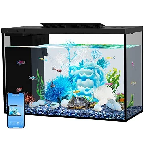 Aquarium kit Betta Fish Tank self Cleaning, Smart Aquarium That Supports