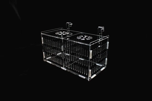 Fish Breeding Isolation Box Fish Tank Incubator Breeder For Baby Fish double gr