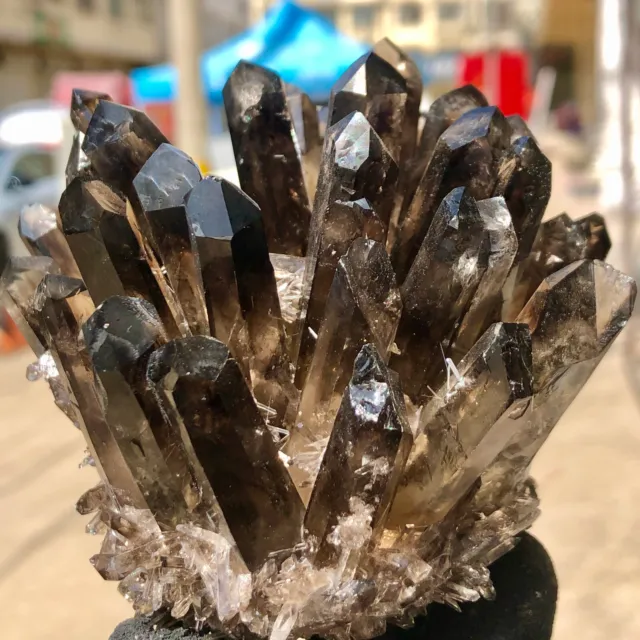 563g  New Find Black Phantom Quartz Crystal Cluster Mineral Specimen Healing