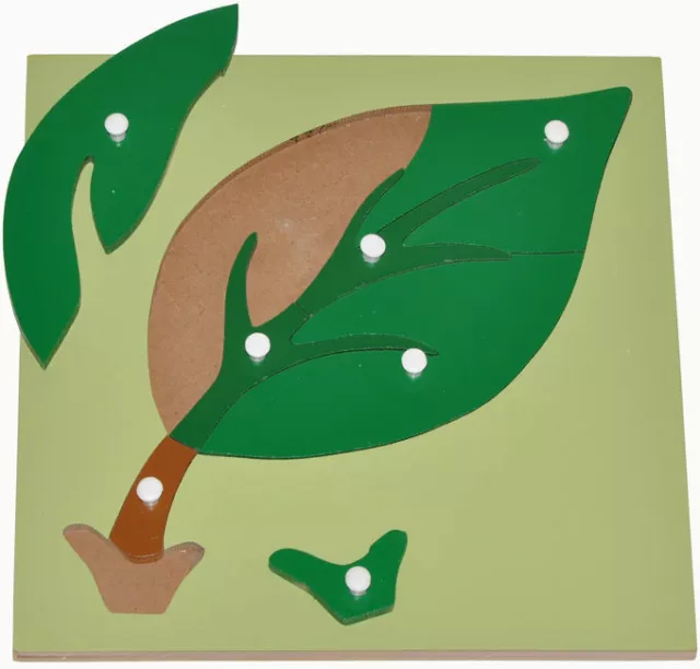 MONTESSORI Material LEAF Wooden Knob Puzzle Educational Toy Homeschool SCHOOL 2